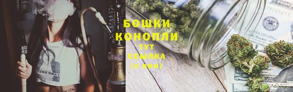 PSILOCYBIN Алексин