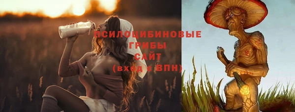 дмт Армянск