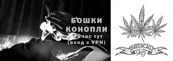 бошки Аркадак