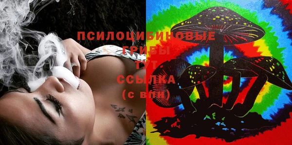 дмт Армянск