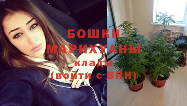 бошки Аркадак