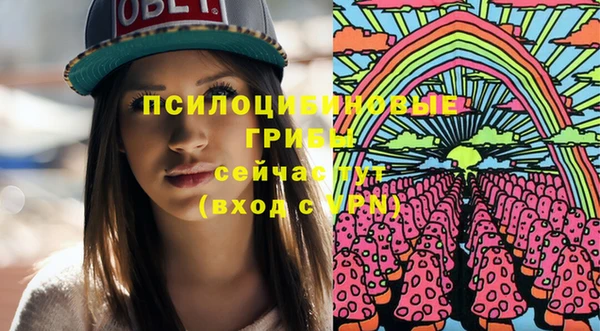 ешки Туринск