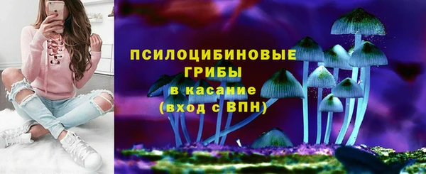 дмт Армянск