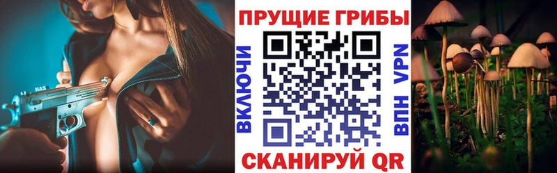 Галлюциногенные грибы GOLDEN TEACHER Шацк